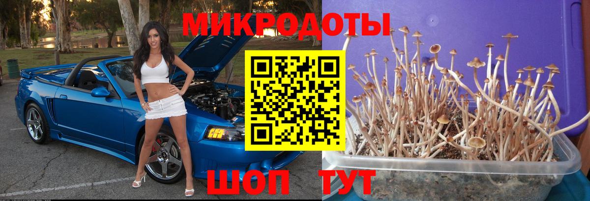 Галлюциногенные грибы Magic Shrooms  Вход с VPN  Псилоцибиновые грибы MAGIC MUSHROOMS  Будённовск 